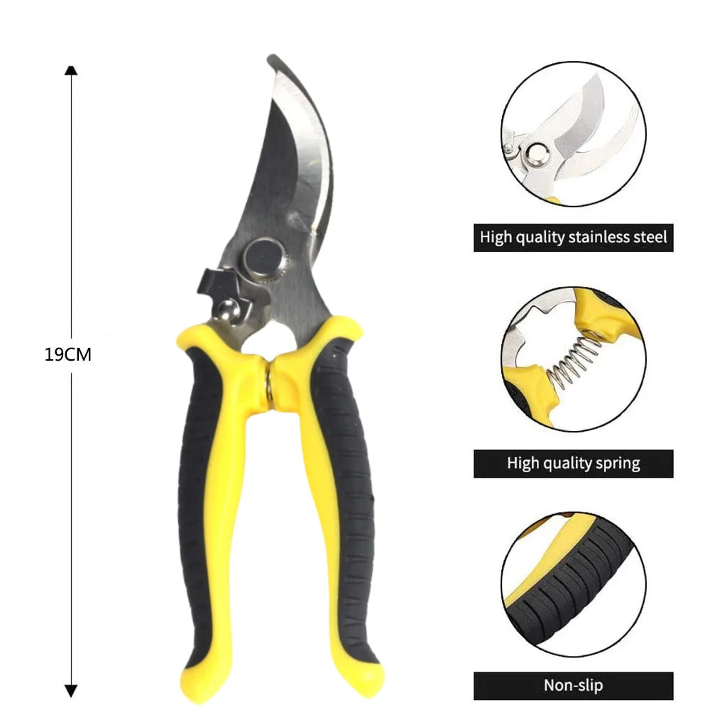 Scissors for Trimming