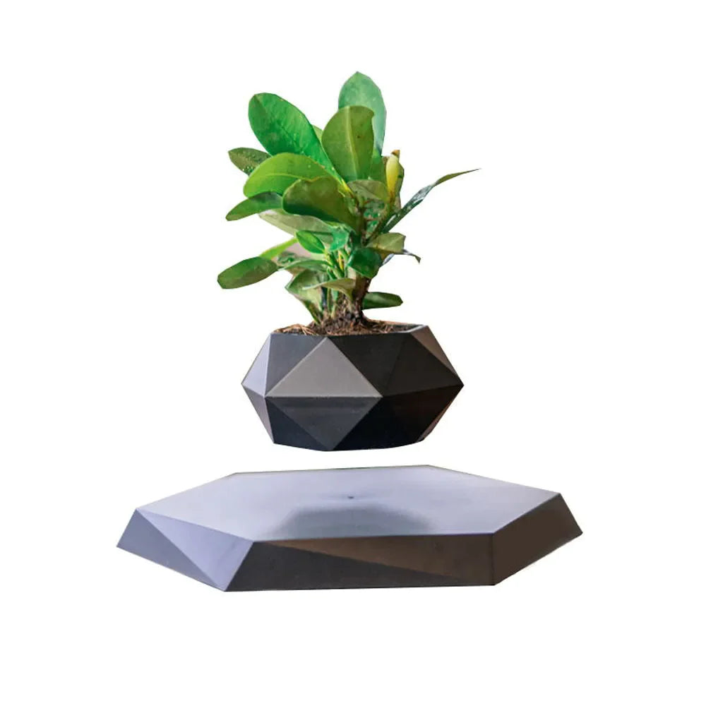 Levitating Plant Vase