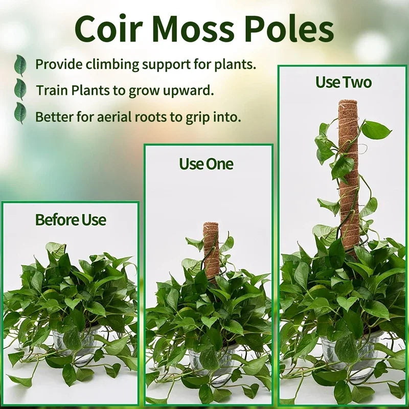 Bendable Plant Moss Coir Pole