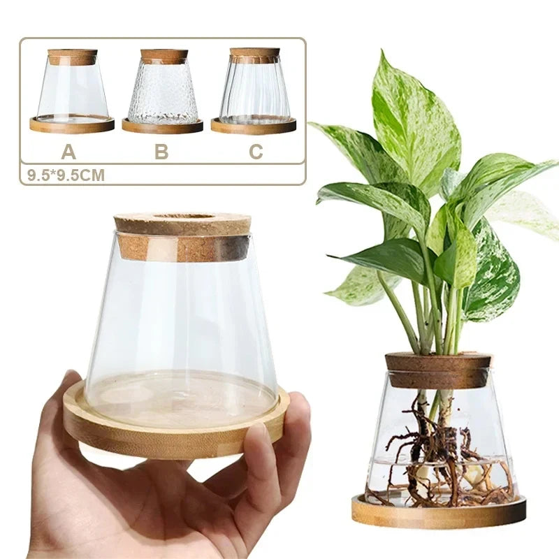 Hydroponic Glass Plant Pot